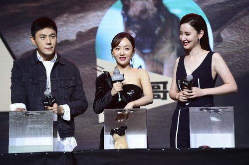 21年吃瓜汇总娱乐圈